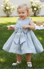 Ribbon Crystal Organza Dress 9191